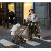 Коляска універсальна 2 в 1 Anex Air-Q Vanille 