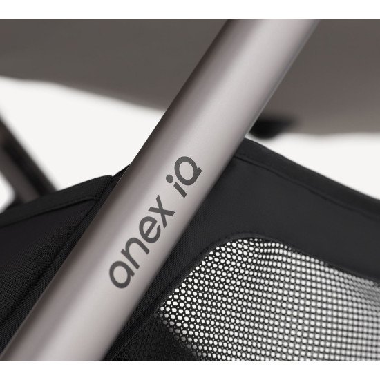 Коляска універсальна 2 в 1 Anex IQ Premium Soya