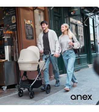 Anex IQ