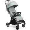 Коляска прогулянкова Chicco Goody XPlus м`ятний