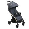 Коляска прогулянкова Chicco Goody XPlus сірий