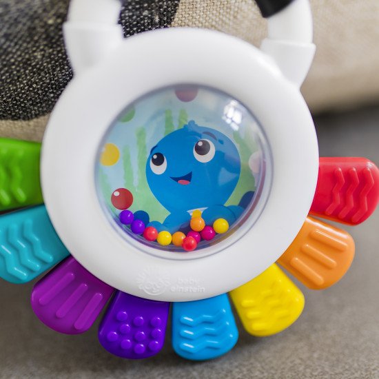 Погремушка Baby Einstein "Outstanding Opus" Погремушка Baby Einstein "Outstanding Opus"