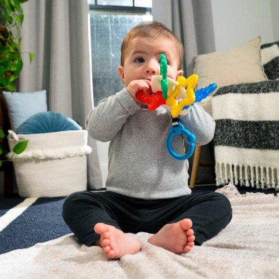 Прорезыватель для зубов Baby Einstein "Sea of Sensory"