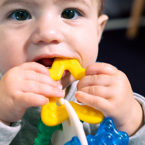 Прорезыватель для зубов Baby Einstein "Sea of Sensory"
