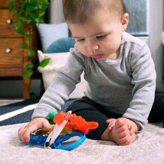 Прорезыватель для зубов Baby Einstein "Sea of Sensory"