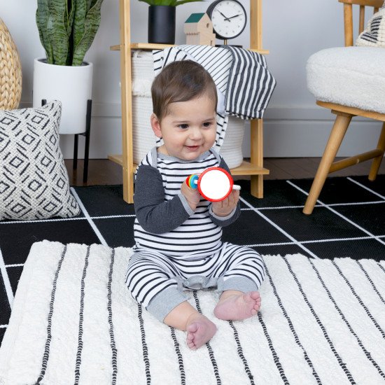 Погремушка Baby Einstein "Cal’s Sensory Shake-up" Погремушка Baby Einstein "Cal’s Sensory Shake-up"