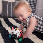 Погремушка Baby Einstein "Oball. Curious Car Zen" Погремушка Baby Einstein "Oball. Curious Car Zen"