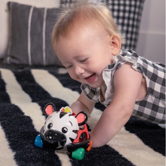 Погремушка Baby Einstein "Oball. Curious Car Zen" Погремушка Baby Einstein "Oball. Curious Car Zen"