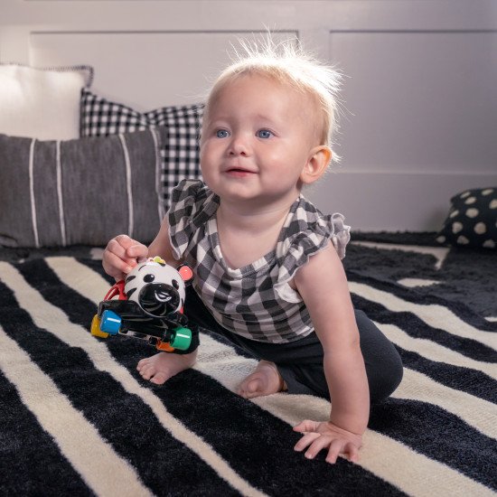 Погремушка Baby Einstein "Oball. Curious Car Zen" Погремушка Baby Einstein "Oball. Curious Car Zen"