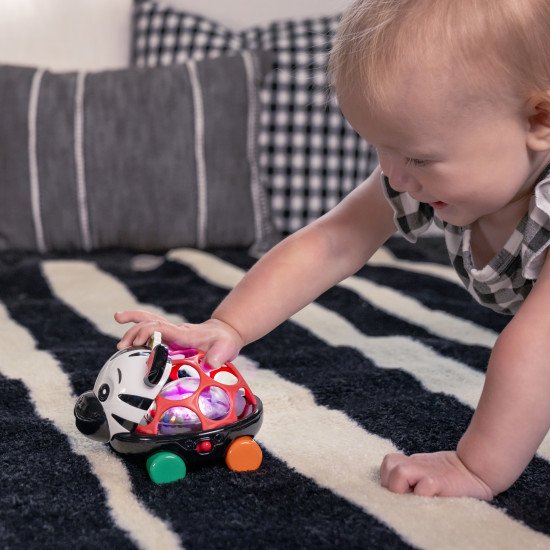 Погремушка Baby Einstein "Oball. Curious Car Zen" Погремушка Baby Einstein "Oball. Curious Car Zen"