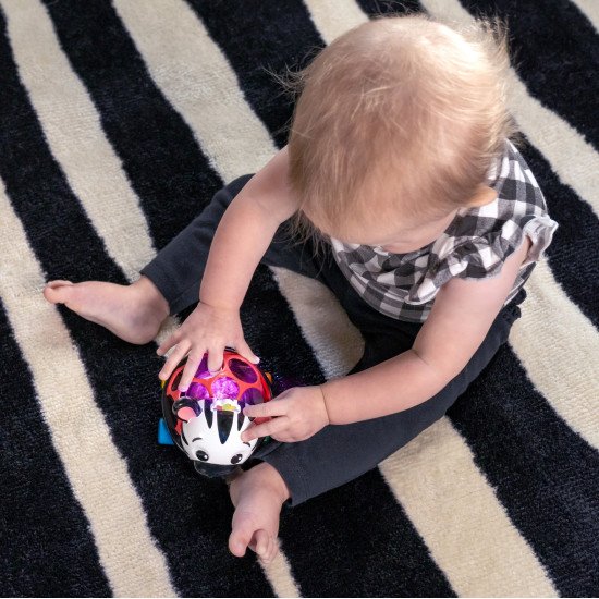 Погремушка Baby Einstein "Oball. Curious Car Zen" Погремушка Baby Einstein "Oball. Curious Car Zen"