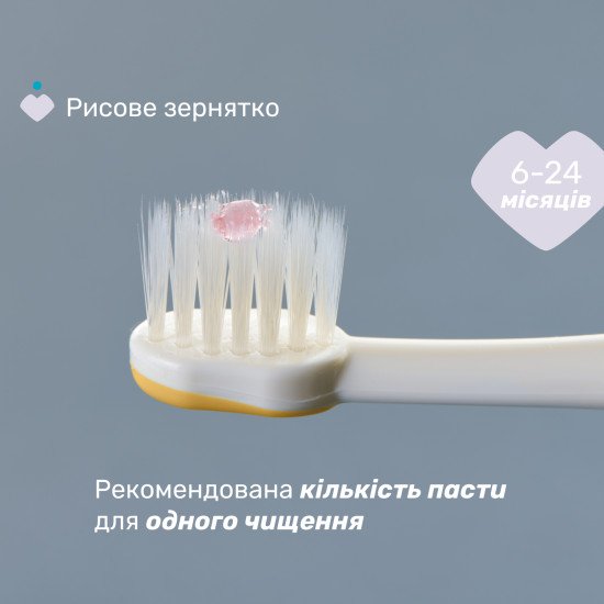 Зубна щітка Chicco для перших зубів, 6-36 міс., 2 шт. Зубна щітка Chicco для перших зубів, 6-36 міс., 2 шт.