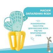 Прорізувач для зубів Chicco "Кактус"