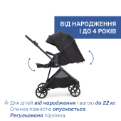 Коляска 2 в 1 Chicco Seety Коляска 2 в 1 Chicco Seety