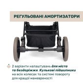Коляска прогулянкова Chicco Dolomiti чорний