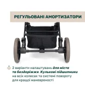 Коляска прогулянкова Chicco Dolomiti чорний