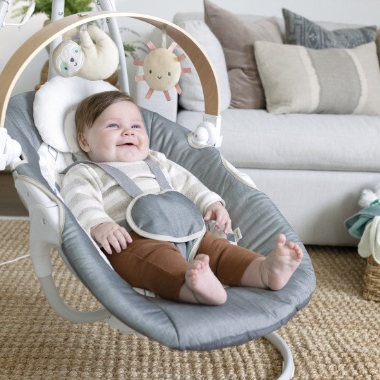 Крісло-гойдалка Ingenuity SimpleComfort – Parker