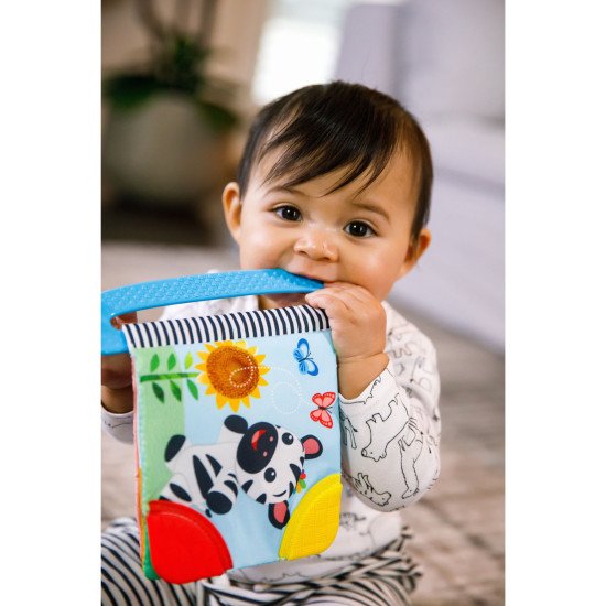 Книжка-грызунок Baby Einstein "Teather Book"