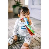 Книжка-грызунок Baby Einstein "Teather Book"