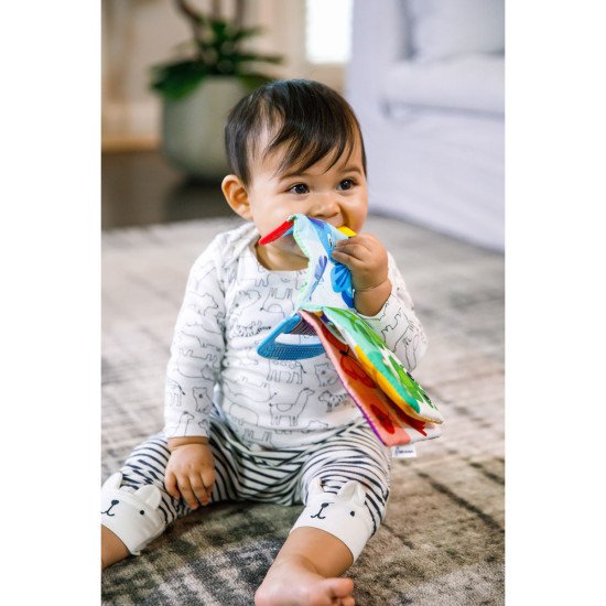 Книжка-грызунок Baby Einstein "Teather Book"