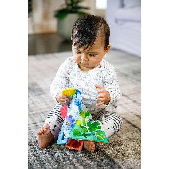 Книжка-грызунок Baby Einstein "Teather Book"
