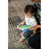 Книжка-грызунок Baby Einstein "Teather Book"