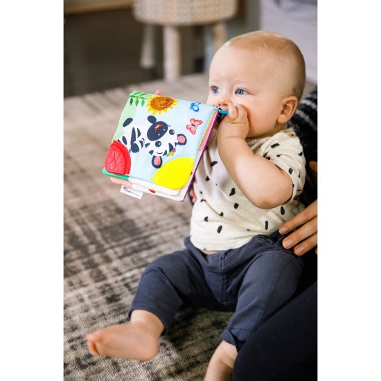 Книжка-грызунок Baby Einstein "Teather Book"