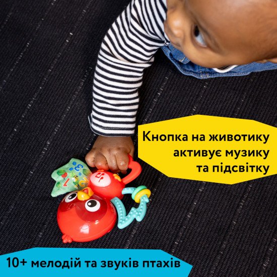 Музыкальная погремушка Baby Einstein "Roxy's Bright Flight" Музыкальная погремушка Baby Einstein "Roxy's Bright Flight"