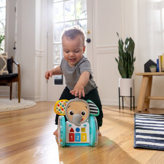 Музична іграшка Baby Einstein "Chase & Tap Earl"