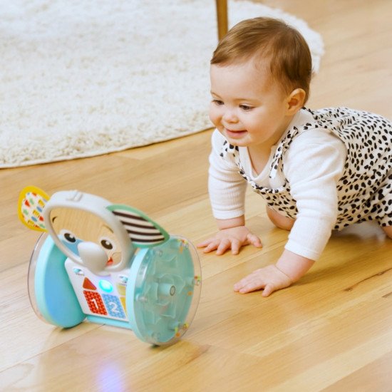 Музична іграшка Baby Einstein "Chase & Tap Earl"