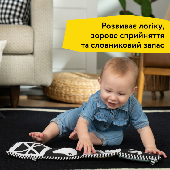 Розвиваюча м'яка книжка Baby Einstein "Counting at the Farm"