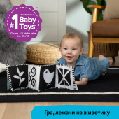 Розвиваюча м'яка книжка Baby Einstein "Counting at the Farm"