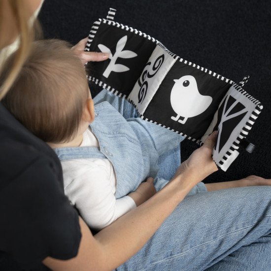 Розвиваюча м'яка книжка Baby Einstein "Counting at the Farm"