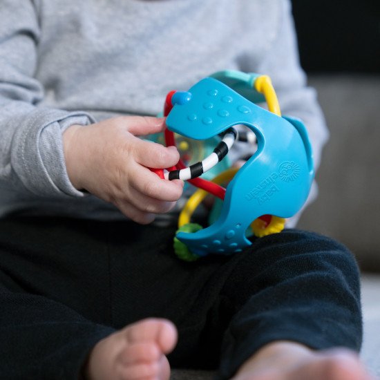 Погремушка Baby Einstein "Rattle & Sense" Погремушка Baby Einstein "Rattle & Sense"