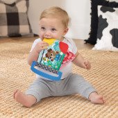 Книжка-гризунець Baby Einstein Shapes at the Farm