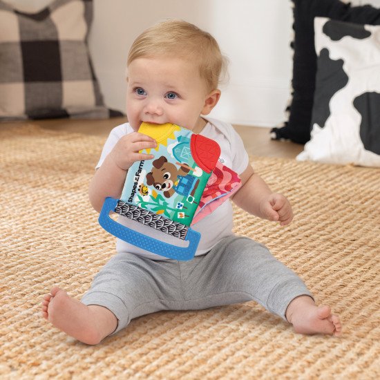 Книжка-гризунець Baby Einstein Shapes at the Farm