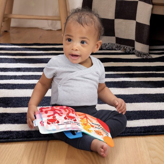 Книжка-гризунець Baby Einstein Shades of the Sea