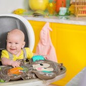 Водный развивающий коврик Bright Starts "Hungry Monkey"