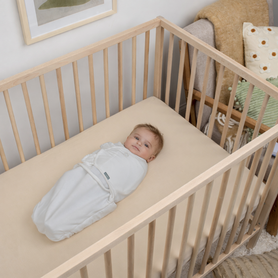Європелюшка 2 в 1 Ingenuity All Season Swaddle, 0-3 міс.