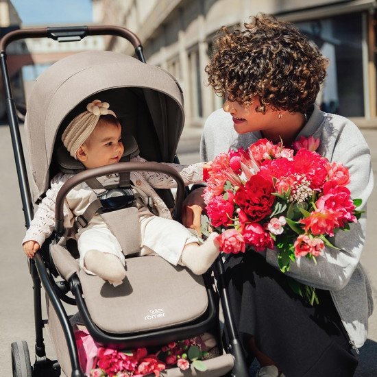 Коляска прогулочная Britax-Romer Rio Urban Olive Коляска прогулочная Britax-Romer Rio Urban Olive