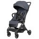 Коляска прогулочная Carrello Solo CRL-5531 Chrome Grey
