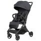Коляска прогулочная Carrello Solo CRL-5531 Forest Black