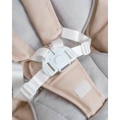 Стульчик-качель Carrello Cascata CRL-10303 Ash Grey Стульчик-качель Carrello Cascata CRL-10303 Ash Grey