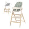 Стільчик для годування 4 в 1 Carrello Ergo CRL-16701 Elora Green