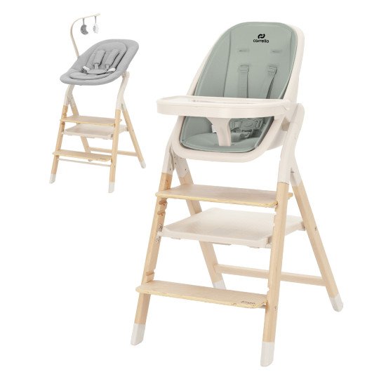 Стільчик для годування 4 в 1 Carrello Ergo CRL-16701 Elora Green Стільчик для годування 4 в 1 Carrello Ergo CRL-16701 Elora Green