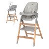 Стільчик для годування 4 в 1 Carrello Ergo CRL-16701 Nordic Grey